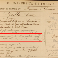 Allaria_sottotesi (2).JPG