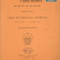 Metodo scientifico di Giulio Bizzozero_low.pdf