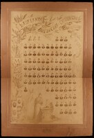 laureati 1r_1891.jpg