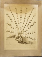 laureati 16r_1884-1885.jpg